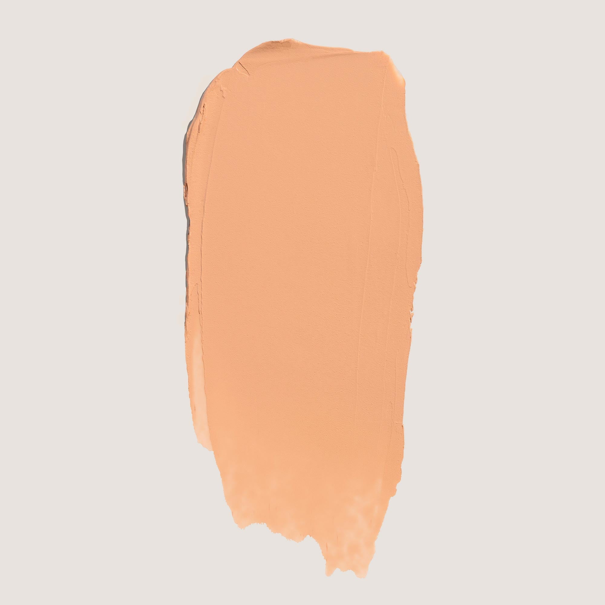 SkinRise Foundation + Brush Duo