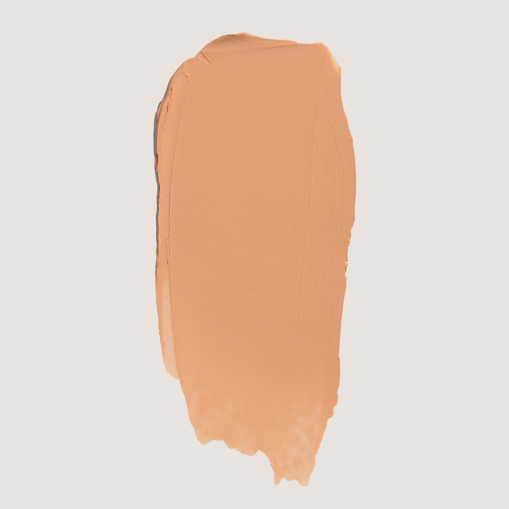 SkinRise Foundation + Brush Duo