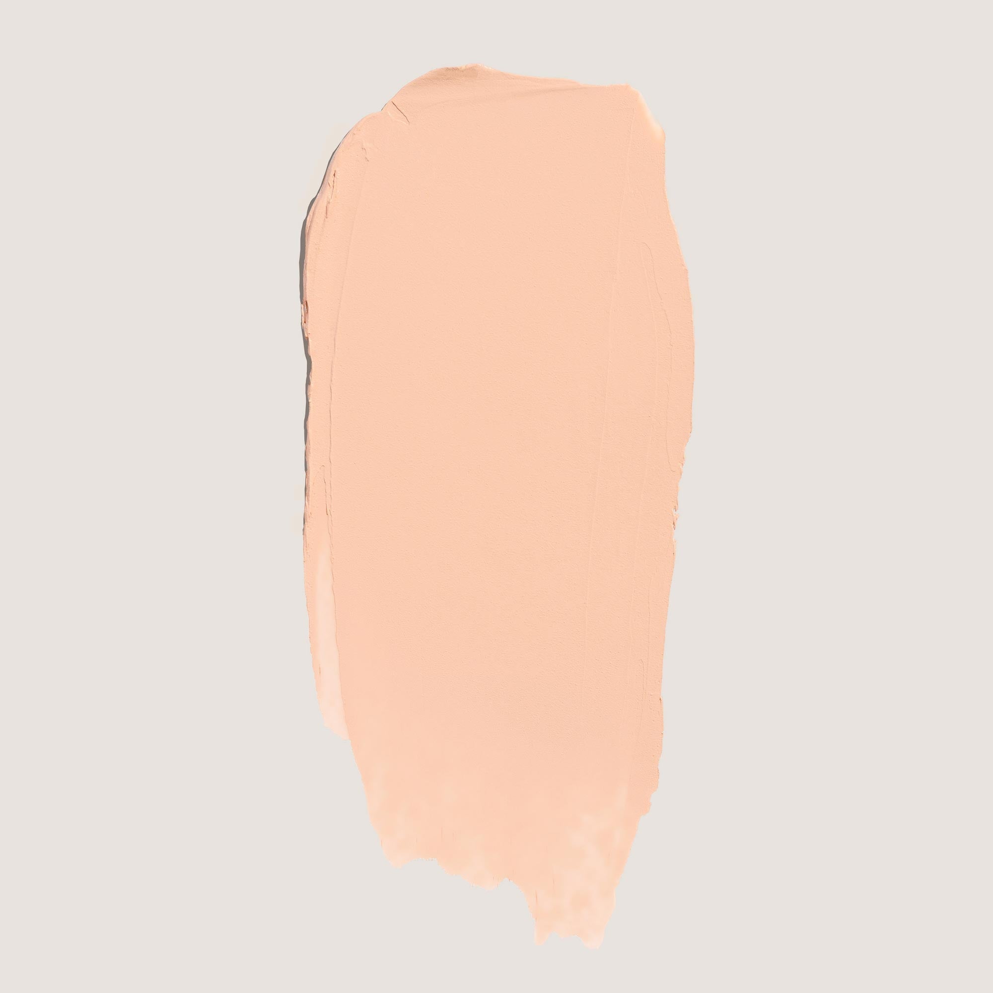 SkinRise Foundation + Brush Duo